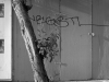 2012n033_08_tree-graffiti