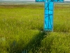 0615_blue-cross_along-route-13_north-of-circle_montana