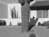 04_residence_cactus_phoenix_arizona