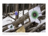 2018DSC2540, Public Forest Shooting Range, Along Jeep Trail, West of Colorado Springs, Colorado.jpg