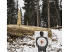 2018d2542, Public Forest Shooting Range, Along Jeep Trail, West of Colorado Springs, Colorado.jpg