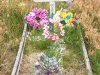 0466_wounded-knee-grave_south-dakota