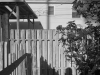14_point_loma_back_yard_with_wooden_fence
